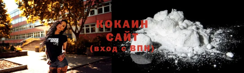 Cocaine Fish Scale  MEGA вход  Кисловодск 