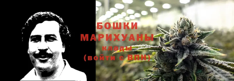 Конопля LSD WEED  где продают   ссылка на мегу tor  Кисловодск 